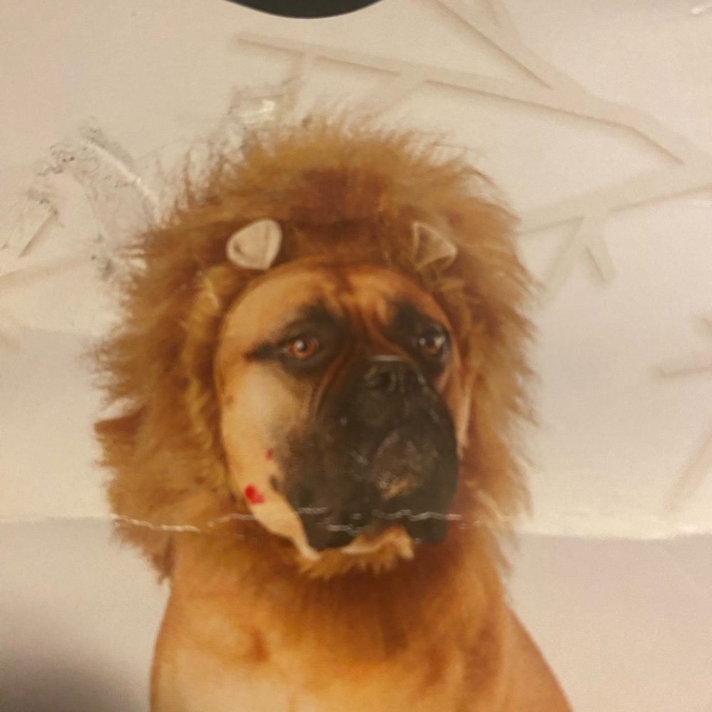 Lion Mane Dog Costume - Brown